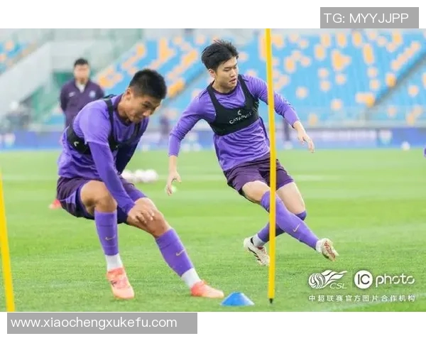 天津泰达在足协杯中的精彩表现与未来展望分析